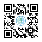 qr code image